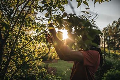FISKARS "plus smartfit" tuinschaar pruning shears p541 - thumbnail