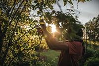 Fiskars 1057169 Plus™ P541 Tuinschaar 201 mm - thumbnail