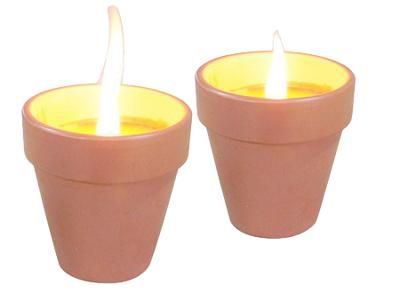 Citronellakaarsen in Terracotta Potje 6.5 cm 3 Stuks