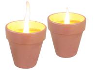 Citronellakaarsen in Terracotta Potje 6.5 cm 3 Stuks - thumbnail
