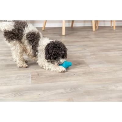 TRIXIE SNACKTOL NATUURRUBBER PETROL 12 CM TRIXIE SNACKTOL NATUURRUBBER PETROL 12 CM