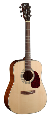 Cort Earth 70 - Natural Open Pore