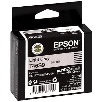 Epson Singlepack Light Gray T46S9 UltraChrome Pro 10 ink 25ml
