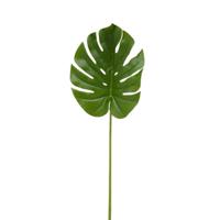 Monsterablad 90 cm kunsttak Buitengewoon de Boet - Buitengewoon de boet - thumbnail