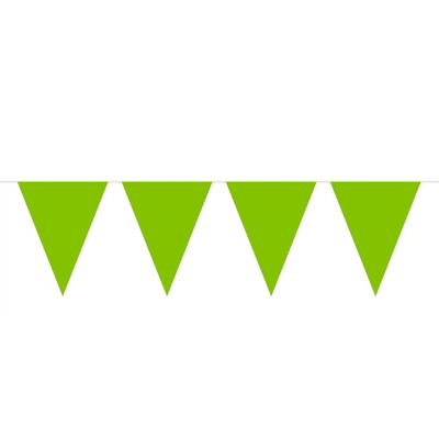 Groene Mini Vlaggenlijn - 3 meter