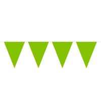Groene Mini Vlaggenlijn - 3 meter - thumbnail