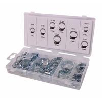 Slangklem assortiment, 40 stuks in opbergbox - thumbnail