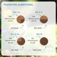 Nutrivet Inne Cat Adult vis kattenvoer 2 x 6 kg - thumbnail