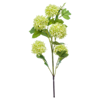 Viburnum - thumbnail