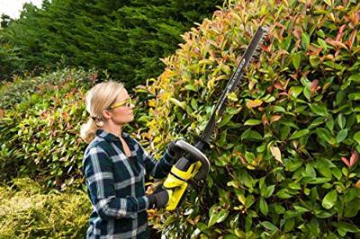 Ryobi RHT36C61R20S | 36V | HEGGENSCHAAR | 60CM | 1X 2.0AH - 5133004661 - thumbnail