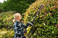 Ryobi RHT36C61R20S | 36V | HEGGENSCHAAR | 60CM | 1X 2.0AH - 5133004661 - thumbnail