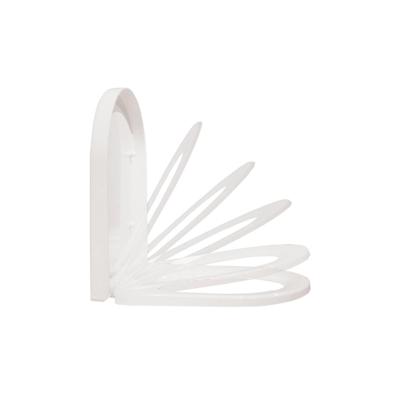 Best Design Litza Toiletzitting Best Design Litza Toiletzitting