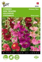 Zaden Althaea (Alcea) Stokroos Antwerp Stars mix Buzzy - Buzzy - thumbnail