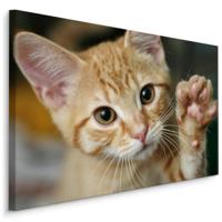 Schilderij - Schattige Zwaaiende Kitten, Premium print - thumbnail