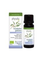 Eucalyptus globulus bio 30 Milliliter - thumbnail