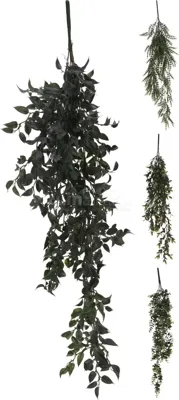 Hangplant 80cm 4ass designs Nampook - Nampook Hangplant 80cm 4ass designs Nampook - Nampook