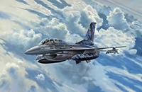 Revell 1/72 Lockheed Martin F-16D Tigermeet 2014 - thumbnail