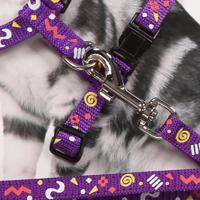 Pawise Kitten Harness Leash-Pink/Purple S - thumbnail