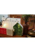 RELAXSOUND - Zwitscherbox - Vogels Forest - thumbnail