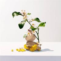 Roger & Gallet - Roger Gallet Neroli Body Lotion 250 ml Bodylotion - thumbnail