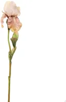 Pure Royal kunsttak iris 79cm perzik - thumbnail