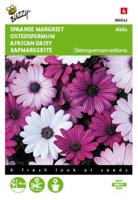 Osteospermum, Spaanse Margriet Akila mix - thumbnail