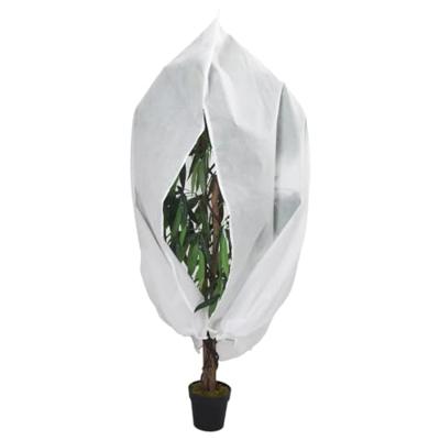 VidaXL Plantenhoezen met ritssluiting 10 st 70 g/m² 2,36x2 m