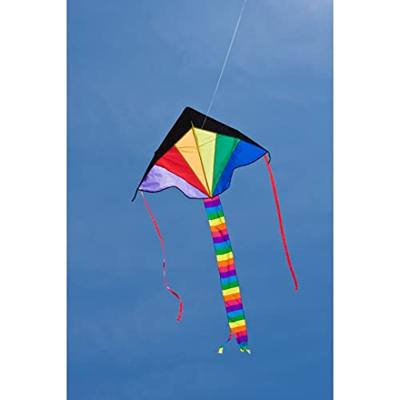 Ecoline Eenlijns Vlieger Simple Flyer Rainbow Spanwijdte 1200 mm Geschikt voor windsterkte 2 - 5 bft