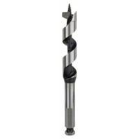 Bosch Accessories 2608585704 Slangenboor 18 mm Gezamenlijke lengte 160 mm Zeskant schacht 1 stuk(s) - thumbnail