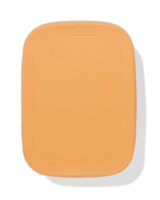 HEMA Lunchbox 18.9x14.3x5.8cm rvs bruin