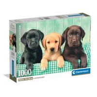 Clementoni Puzzel 1000 stuks Labrador pubs 3 kleuren compact - thumbnail