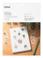 Cricut Printable Vinyl A4 Folieset Snijbreedte 29.7 cm Zilver - thumbnail