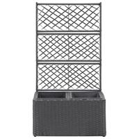 VidaXL Latwerkplantenbak verhoogd met potten 58x30x107 cm rattan zwart - thumbnail