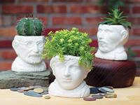 UPG Planter - Jane Austen
UPG Planter - Jane Austen - thumbnail