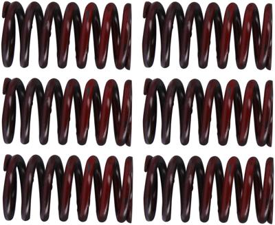TRW koppelingsveren set clutch spring kit mef317-6