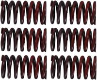 TRW koppelingsveren set clutch spring kit mef317-6 - thumbnail