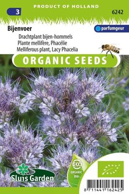 Phacelia tanacetifolia Phacelia (Drachtplant) zaden