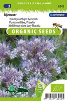 Phacelia tanacetifolia Phacelia (Drachtplant) zaden - thumbnail