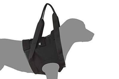 Revalidatie Tuig Hond - Voor - Maat M