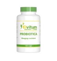 Probiotica - thumbnail
