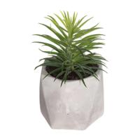 Decoratieve plant Atmosphera 7 x 14 cm Groen PVC - thumbnail