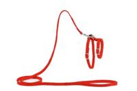 Beeztees Kattentuigje Rood 130cm x 10mm - thumbnail