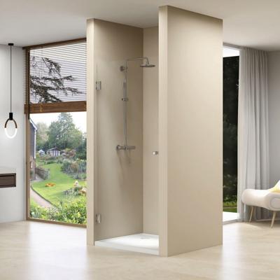 Nisdeur Van Rijn ST01 Profielloos 100x200 cm Helder Glas 8 mm Chroom van Rijn