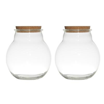 Set van 2x stuks glazen voorraadpotten/snoeppotten/terrarium vazen van 19 x 21.5 cm met kurk dop - Voorraadpot Set van 2x stuks glazen voorraadpotten/snoeppotten/terrarium vazen van 19 x 21.5 cm met kurk dop - Voorraadpot