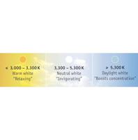 Paulmann MaxLED Tunable White 70623 LED-strip basisset Met connector (male) 24 V 1.5 m Warmwit, Neutraalwit, Daglichtwit 1 stuk(s) - thumbnail