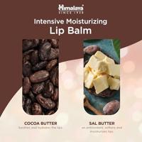 Himalaya Herbals Lippenbalsem Cacaoboter - thumbnail