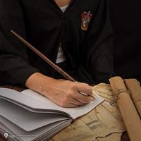 Harry Potter Pen Harry Potter Magic Wand - thumbnail