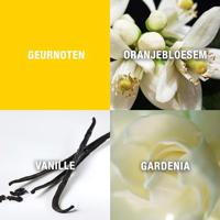 Giorgio Beverly Hills Yellow Eau de Toilette - thumbnail