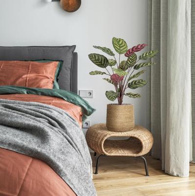 Red Calathea Makoyana FR Kunstplant 60cm