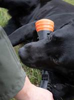 Dog Comets Meteor Werpstok oranje S - thumbnail